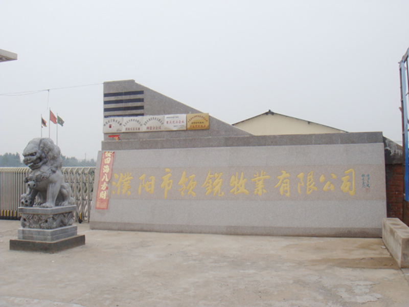 2011.07-河南項(xiàng)目.jpg